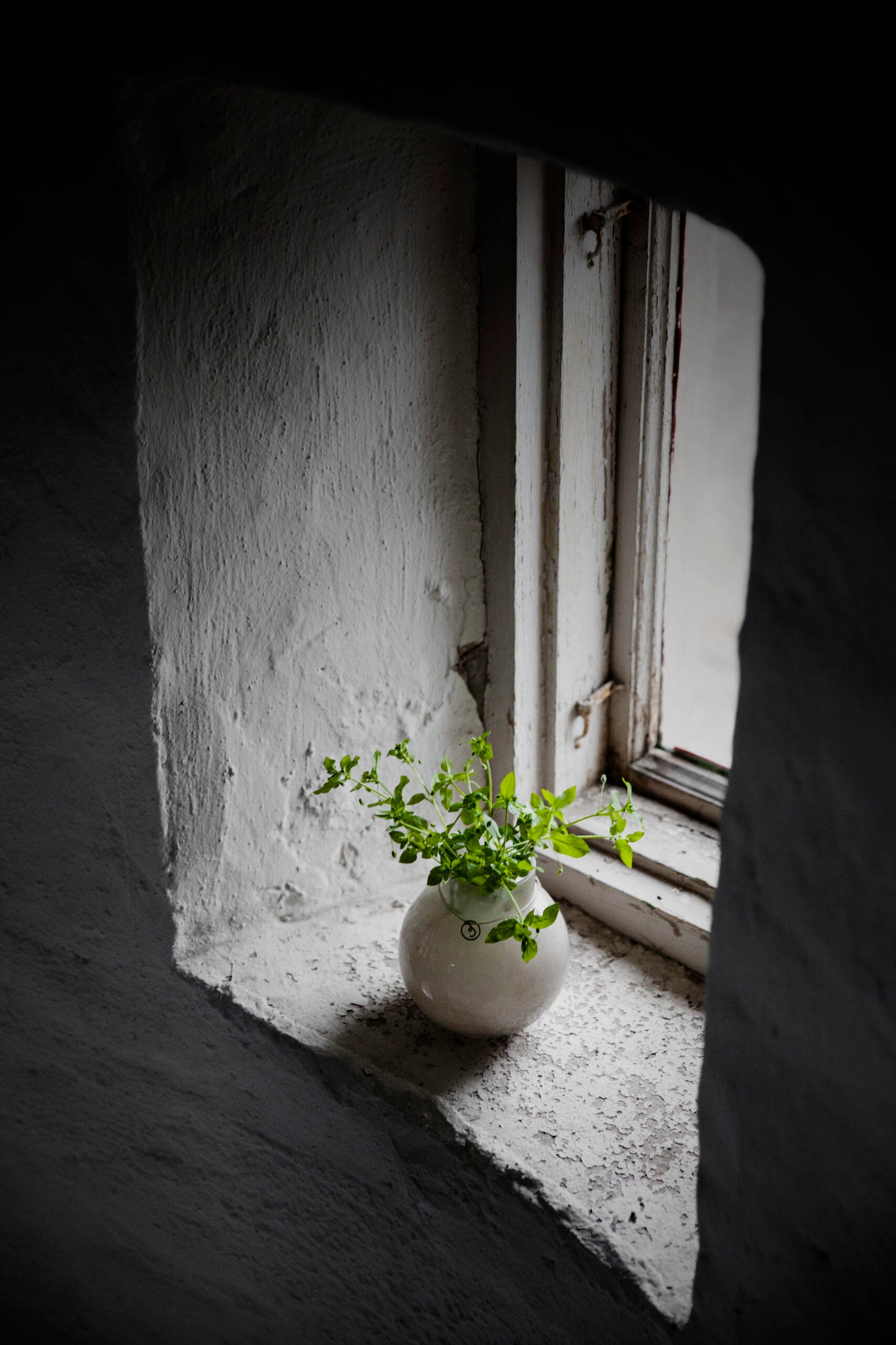 Vase boule en verre fumé