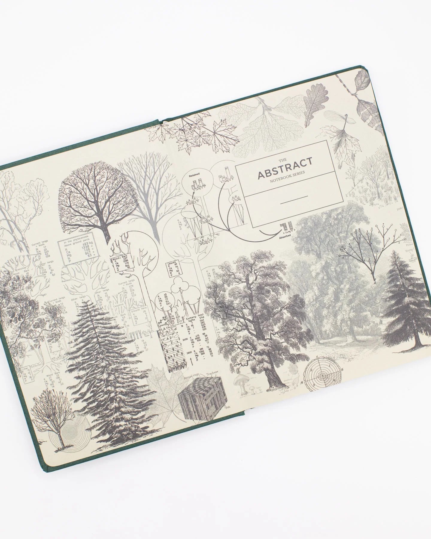 Carnet  de notes Forest