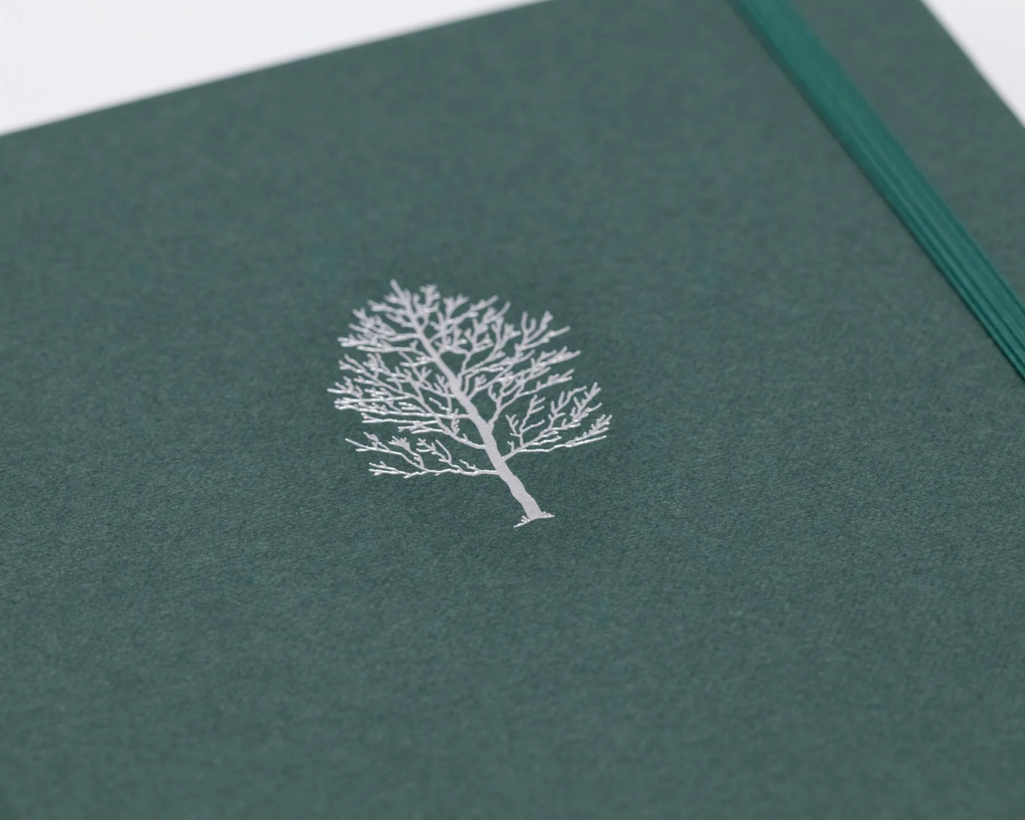 Carnet  de notes Forest