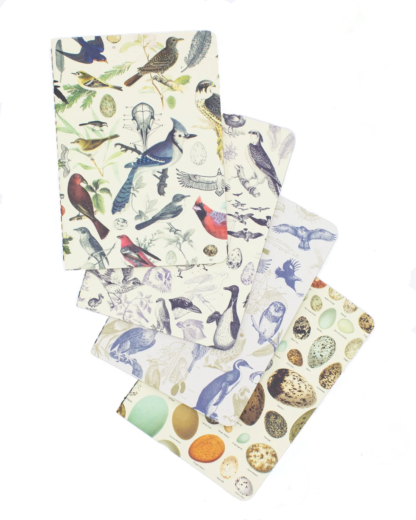 Set de 4 petits cahiers Ornithology